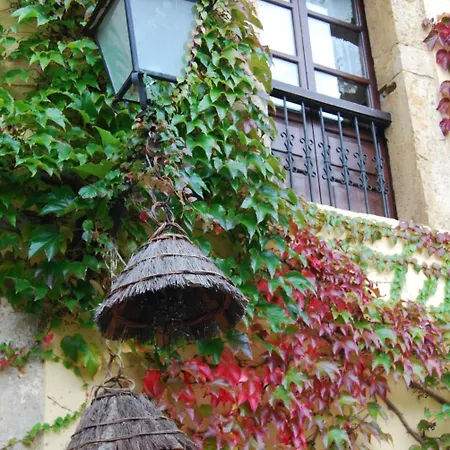 Palacio De Cutre 호텔 라골레타