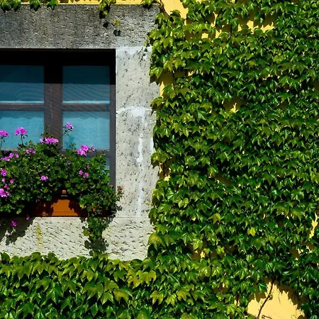 Palacio De Cutre La Goleta (Asturias)