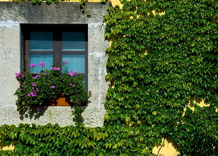 Palacio De Cutre La Goleta (Asturias)